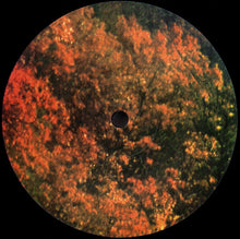 Carica l'immagine nel visualizzatore di Gallery, Tame Impala : Innerspeaker (2xLP, Album, RE)
