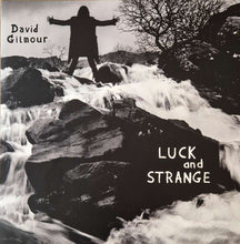 Carica l&#39;immagine nel visualizzatore di Gallery, David Gilmour : Luck And Strange (LP, Album)
