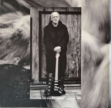 Carica l&#39;immagine nel visualizzatore di Gallery, David Gilmour : Luck And Strange (LP, Album)
