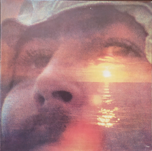 David Crosby : If I Could Only Remember My Name (LP, Album, RE, Gat)