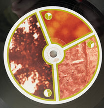Carica l'immagine nel visualizzatore di Gallery, Aphex Twin : Selected Ambient Works Volume II (4xLP, Album, Bioplastic, RE, RM, Exp)
