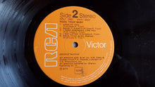 Carica l&#39;immagine nel visualizzatore di Gallery, George Mc Crae* : Rock Your Baby (LP, Album)
