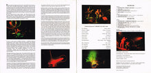 Carica l&#39;immagine nel visualizzatore di Gallery, Caravan : The Best Of Caravan &quot;Live&quot; (2xLP, Album, RP)
