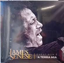 Carica l&#39;immagine nel visualizzatore di Gallery, James Senese : Chest Nun è ‘a Terra Mia (LP, Album)
