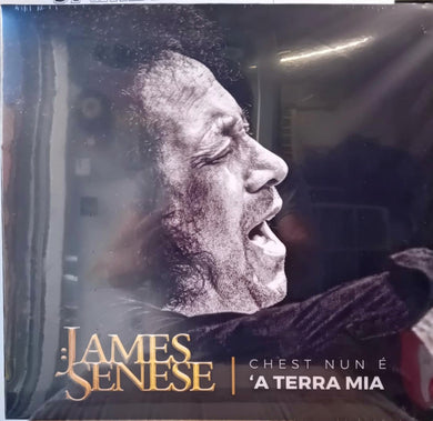 James Senese : Chest Nun è ‘a Terra Mia (LP, Album)