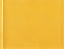 Carica l'immagine nel visualizzatore di Gallery, B.C. Camplight : Blink Of A Nihilist (CD, Album, Promo)
