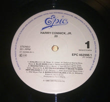 Carica l'immagine nel visualizzatore di Gallery, Harry Connick, Jr. : 20 (LP, Album)
