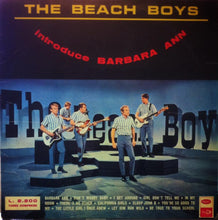 Carica l&#39;immagine nel visualizzatore di Gallery, The Beach Boys : Introduce Barbara Ann (LP, Comp)
