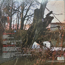 Carica l'immagine nel visualizzatore di Gallery, Black Sabbath : Black Sabbath (LP, Album, RE + LP, RE + RM, Del)
