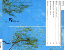 Carica l&#39;immagine nel visualizzatore di Gallery, Surya : Wide Tuning (CD)
