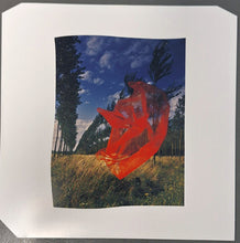 Carica l'immagine nel visualizzatore di Gallery, Pink Floyd : Wish You Were Here  (LP, Ltd, RE, RM, 50t)
