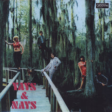 Carica l&#39;immagine nel visualizzatore di Gallery, Yays &amp; Nays : Yays &amp; Nays (LP, Album, Ltd, RE)
