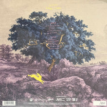 Carica l'immagine nel visualizzatore di Gallery, Santamarea : Anime Storte (LP, Album, Num)
