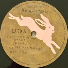 Carica l'immagine nel visualizzatore di Gallery, Santamarea : Anime Storte (LP, Album, Num)
