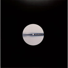 Carica l'immagine nel visualizzatore di Gallery, Various : 020  (12")
