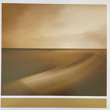 Carica l'immagine nel visualizzatore di Gallery, Brian Eno With Jon Hopkins &amp; Leo Abrahams : Small Craft On A Milk Sea (2xLP, RSD, Dlx, Ltd, RE)
