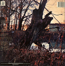 Carica l'immagine nel visualizzatore di Gallery, Black Sabbath : Black Sabbath (LP, Album, RE)
