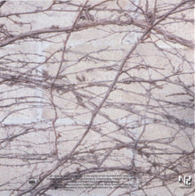 Carica l'immagine nel visualizzatore di Gallery, Prince : Musicology (CD, Album, Jew)
