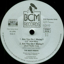 Carica l&#39;immagine nel visualizzatore di Gallery, The Beat Pirate : Are You On 1 Matey? (12&quot;)
