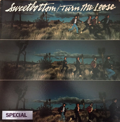 Sweetbottom : Turn Me Loose (LP, Album, Promo, SP )