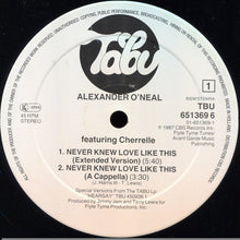 Carica l&#39;immagine nel visualizzatore di Gallery, Alexander O&#39;Neal Featuring Cherrelle : Never Knew Love Like This (12&quot;, Maxi)
