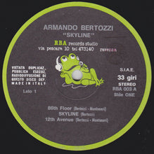 Carica l&#39;immagine nel visualizzatore di Gallery, Armando Bertozzi : Skyline (LP)
