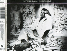 Carica l&#39;immagine nel visualizzatore di Gallery, Gavin Friday : I Want To Live (CD, Single)
