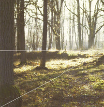 Carica l&#39;immagine nel visualizzatore di Gallery, Kite (6) : V (CD, EP)
