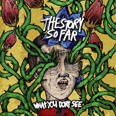 The Story So Far (2) : What You Don't See (LP, Album, RP, Cle)