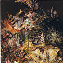 Carica l'immagine nel visualizzatore di Gallery, Philip Selway* : Familial (CD, Album)
