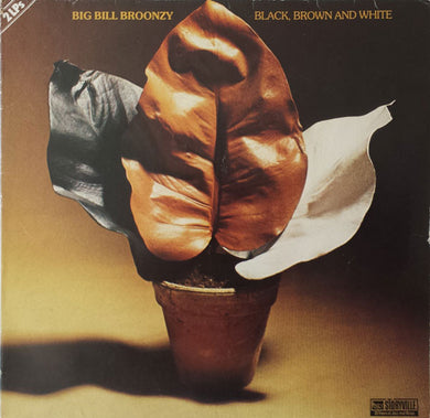 Big Bill Broonzy : Black, Brown And White (2xLP, Comp)