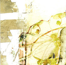 Carica l'immagine nel visualizzatore di Gallery, Damien Jurado : On My Way To Absence (CD, Album)
