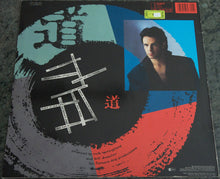 Carica l&#39;immagine nel visualizzatore di Gallery, Rick Springfield : Tao (LP, Album)
