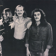 Carica l'immagine nel visualizzatore di Gallery, The Allman Brothers Band : Enlightened Rogues (LP, Album, 53 )
