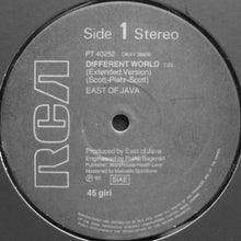 Carica l&#39;immagine nel visualizzatore di Gallery, East Of Java : Different World (12&quot;)
