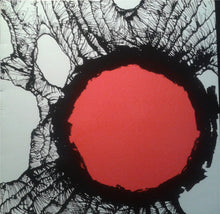 Carica l&#39;immagine nel visualizzatore di Gallery, Savoy Brown - May Blitz - Fotheringay : Live (LP, Comp, Unofficial)
