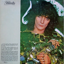 Carica l'immagine nel visualizzatore di Gallery, Renato Zero : Zerolandia (LP, Album, 12/)
