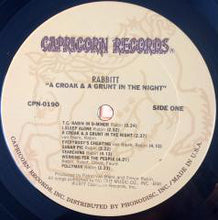 Carica l&#39;immagine nel visualizzatore di Gallery, Rabbitt : A Croak &amp; A Grunt In The Night (LP, Album)
