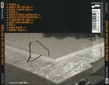 Carica l&#39;immagine nel visualizzatore di Gallery, Amos Lee : Last Days At The Lodge (CD, Album)
