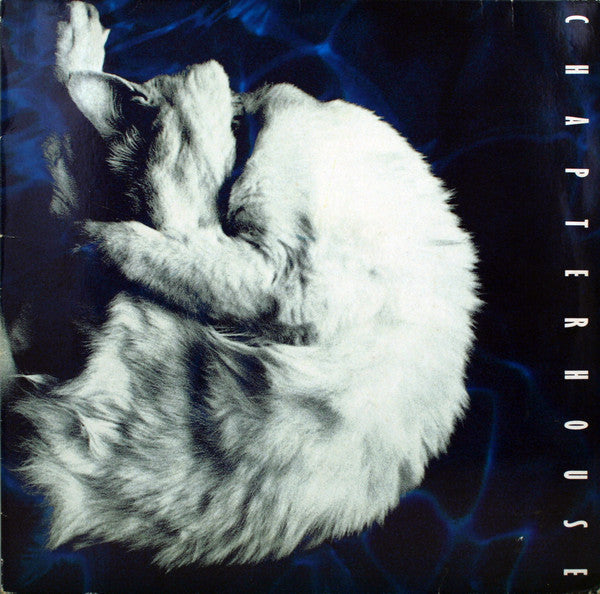 Chapterhouse : Whirlpool (LP, Album)
