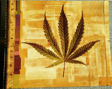 Carica l'immagine nel visualizzatore di Gallery, Bob Marley : Chant Down Babylon (CD, Album)
