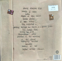 Carica l&#39;immagine nel visualizzatore di Gallery, Bibio : Fi (2xLP, Album, RE)
