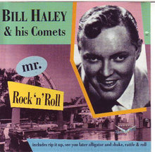 Carica l&#39;immagine nel visualizzatore di Gallery, Bill Haley And His Comets : Mr. Rock &#39;N&#39; Roll (CD, Comp)
