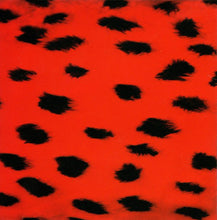 Carica l'immagine nel visualizzatore di Gallery, The Aloof : Seeking Pleasure (CD, Album)
