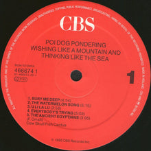 Carica l&#39;immagine nel visualizzatore di Gallery, Poi Dog Pondering : Wishing Like A Mountain And Thinking Like The Sea (LP, Album)
