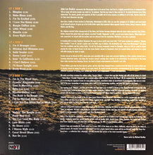 Carica l&#39;immagine nel visualizzatore di Gallery, John Lee Hooker : Anthology (2xLP, Comp, RE, 180)
