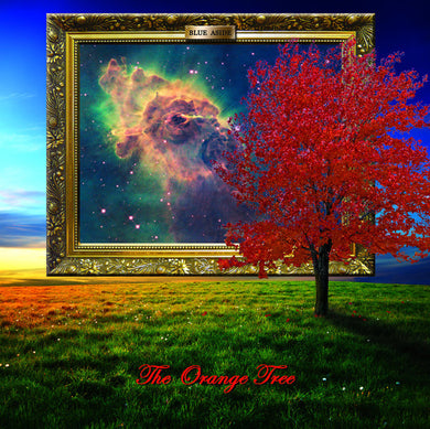 Blue Aside : The Orange Tree (12