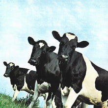 Carica l&#39;immagine nel visualizzatore di Gallery, Pink Floyd : Atom Heart Mother (LP, Album, RE, RM, Gat)

