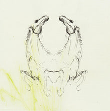 Carica l'immagine nel visualizzatore di Gallery, My Brightest Diamond : Tear It Down (CD, Album)
