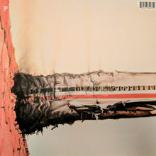 Carica l&#39;immagine nel visualizzatore di Gallery, Beastie Boys : Licensed To Ill (LP, Album, RE, 180)
